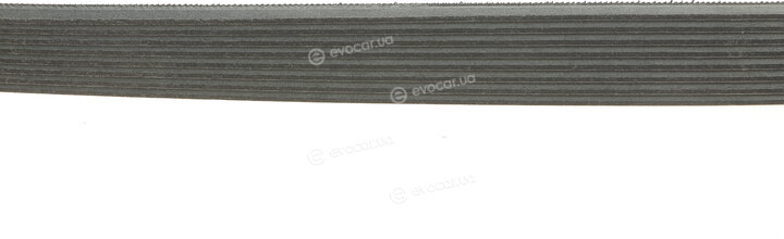 Gates 8PK1162EST