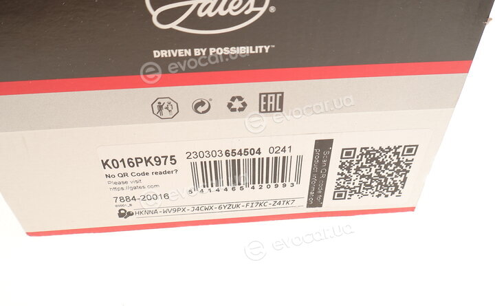 Gates K016PK975