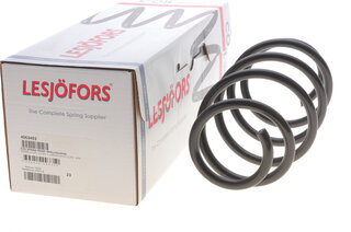 Lesjofors 4063493
