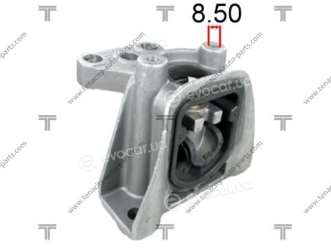 Tenacity AWSHO1080