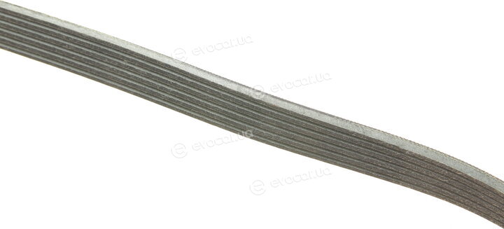 Gates 6PK1005EST
