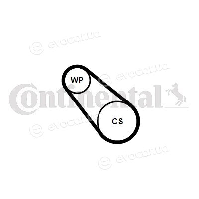 Continental 3PK576 ELAST WP2