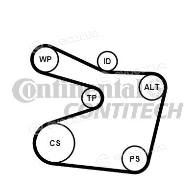 Continental 6PK1555K1