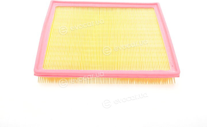 Solgy 103104