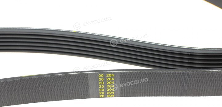 Hutchinson 1264 K 6