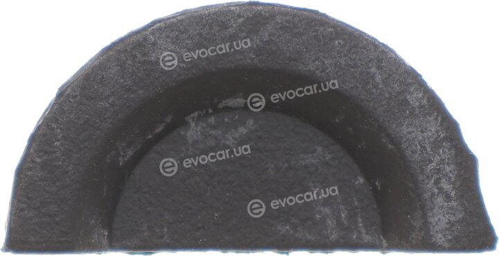 Elring 538.070