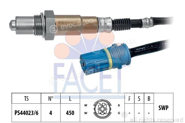 Facet ОКТ.81