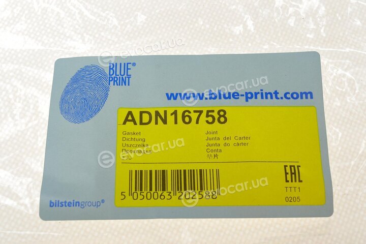 Blue Print ADN16758