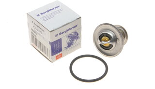 Wahler / BorgWarner 4264.87D