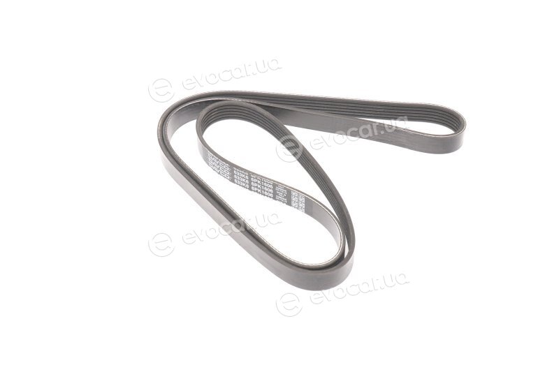 Dayco 6PK1606