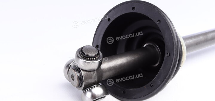 GSP 250356