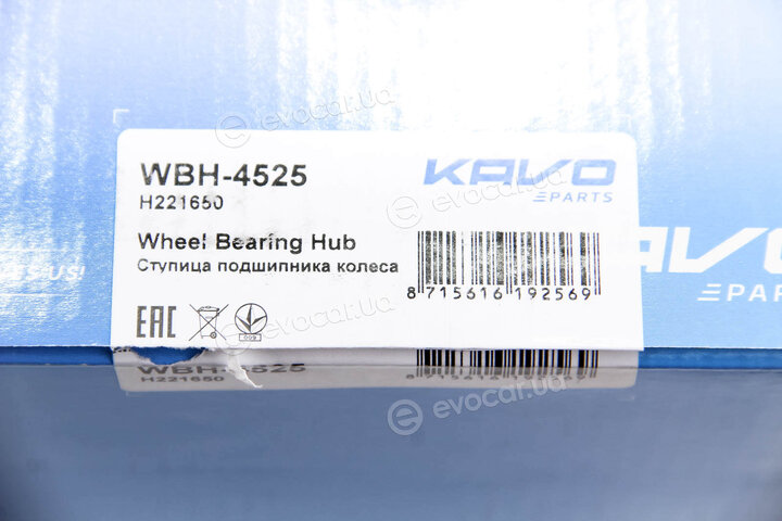 Kavo WBH-4525