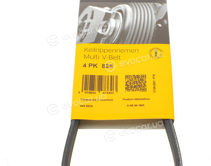 Continental 4PK825