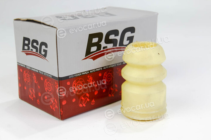 BSG BSG 30-700-063