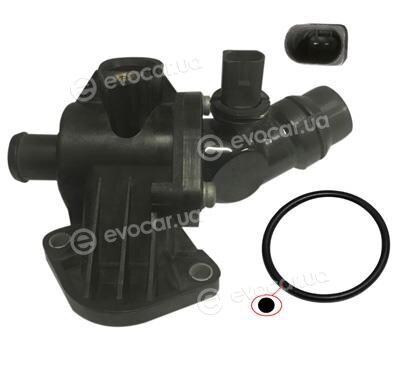 Starline TS T111.105T