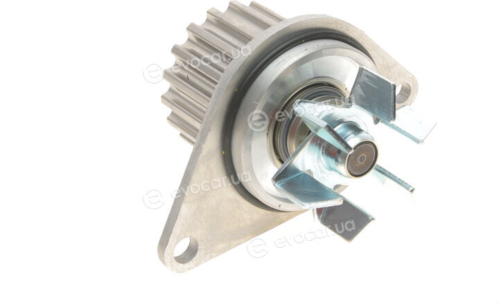 Continental WP6088