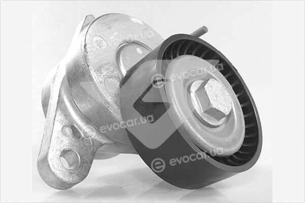 Hutchinson T0681