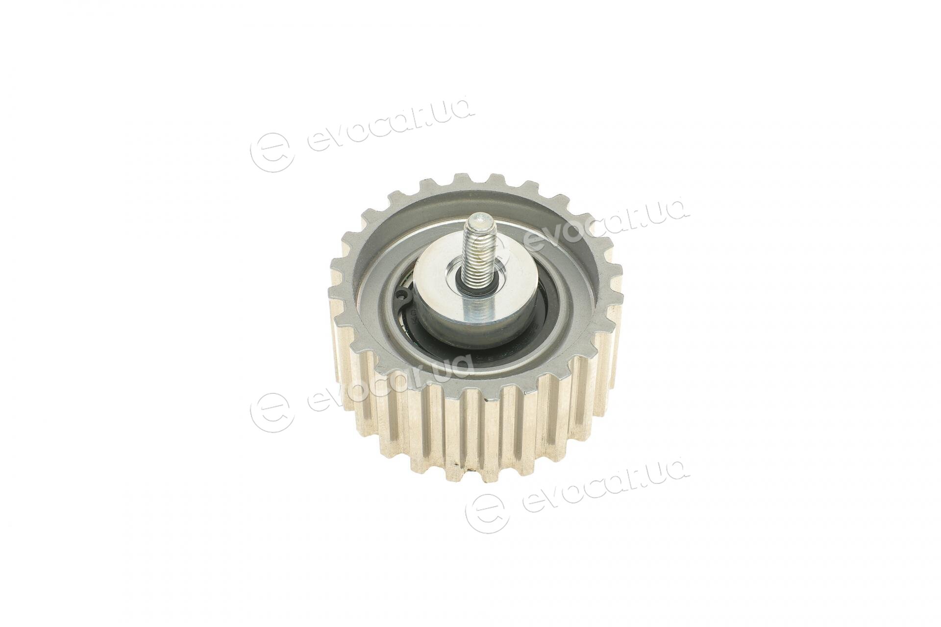 Dayco KTBWP3390