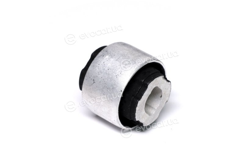 Sasic 2250029