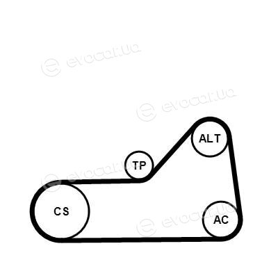 Continental 6PK1153K1