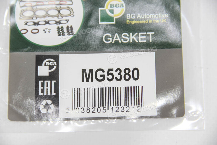 BGA MG5380