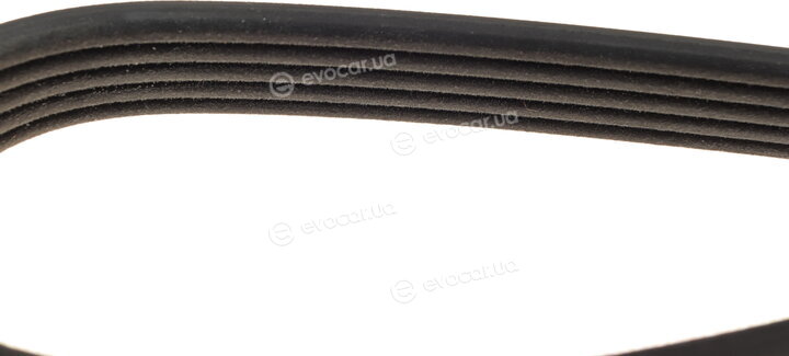 Dayco 5PK1025