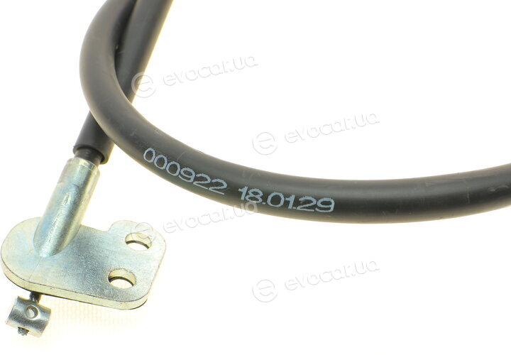 Linex 18.01.29