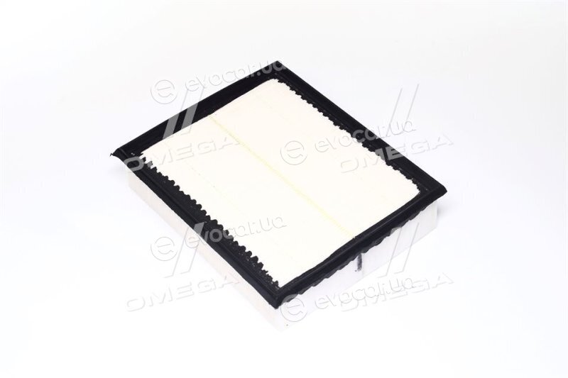 Champion CAF100567P