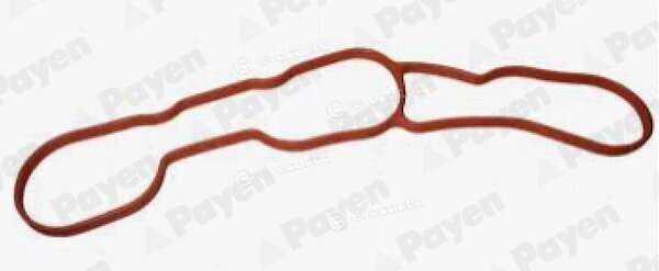 Payen JD6183