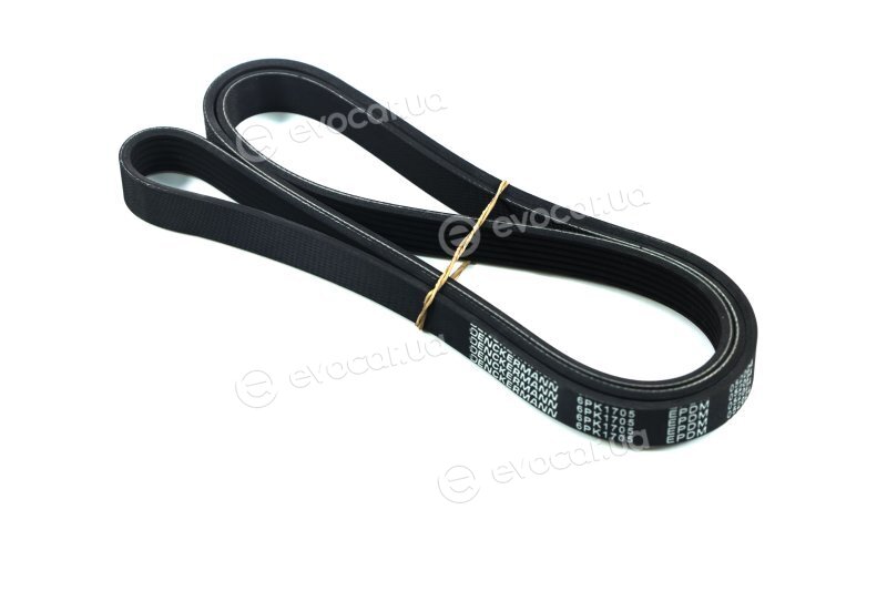 Denckermann 6PK1705