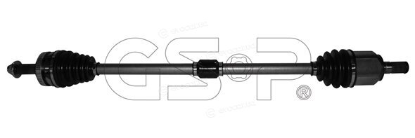GSP 224261