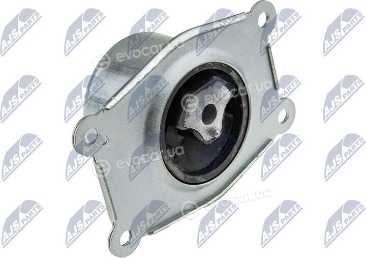 NTY ZPS-PL-031