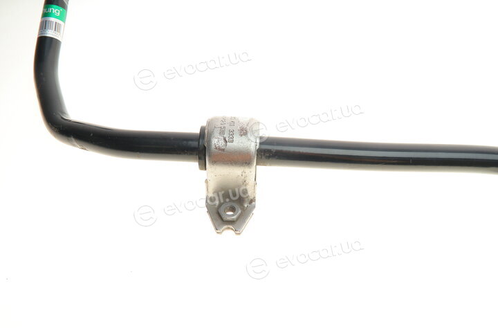 Borsehung B12619