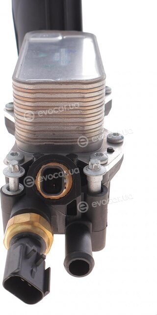 Blue Print ADBP210029