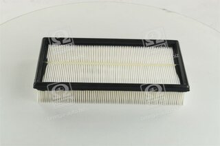 Champion CAF100697P