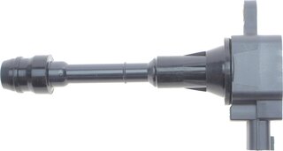Delphi GN10219
