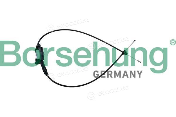 Borsehung B10781