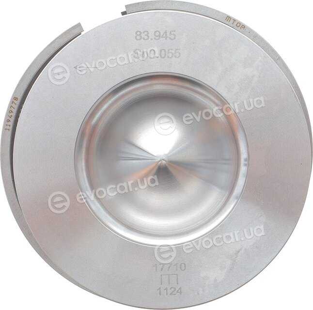 Mahle 081 PI 00119 000