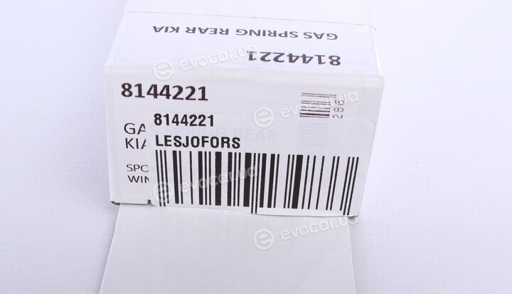 Lesjofors 8144221