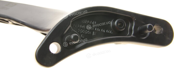 Solgy 306198