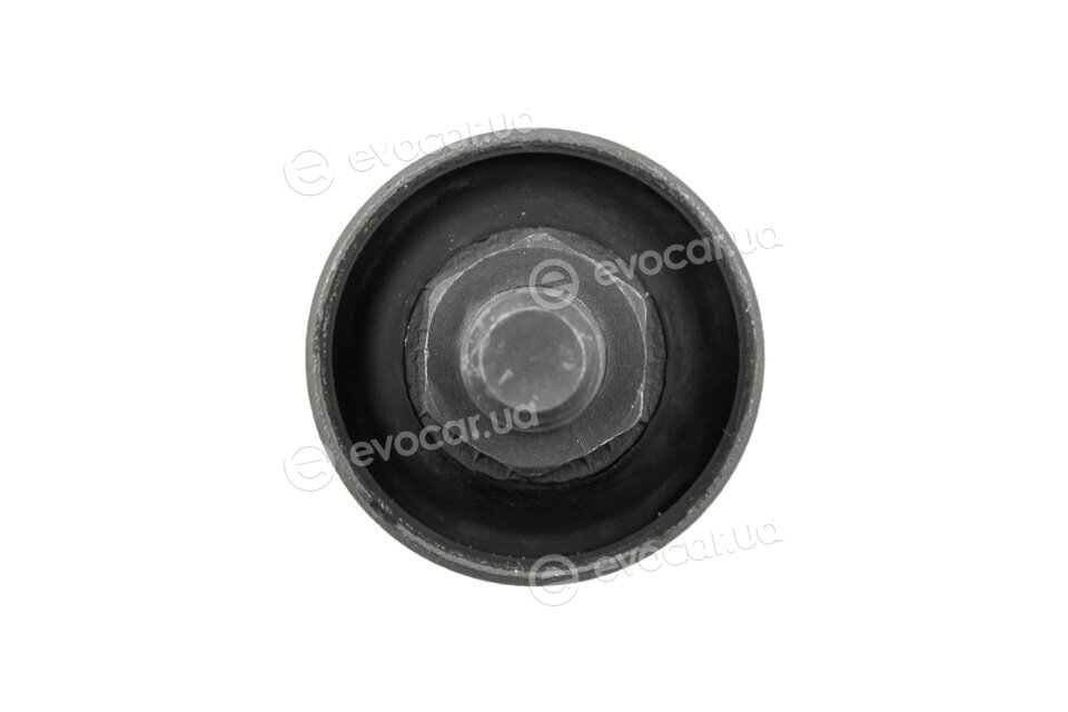 NTY ZTP-DW-081B