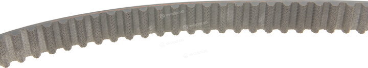 Gates KP15631XS-1