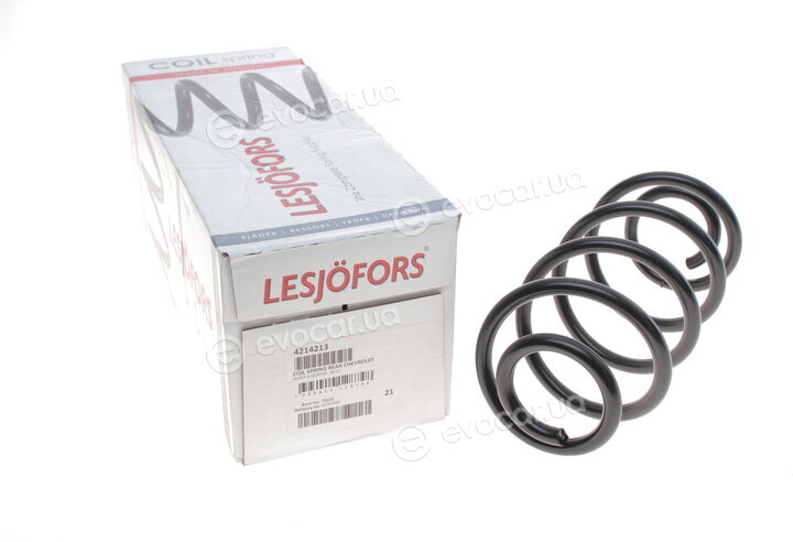 Lesjofors 4214213