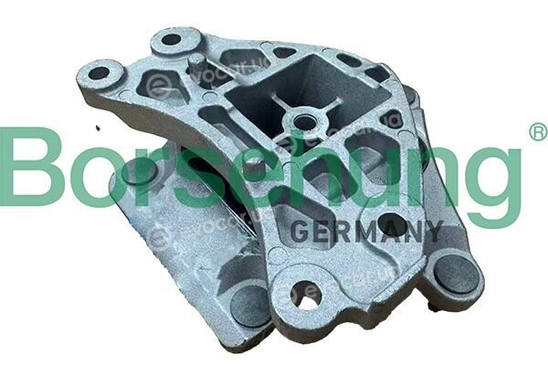 Borsehung B13543