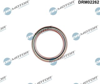 Dr. Motor DRM02262