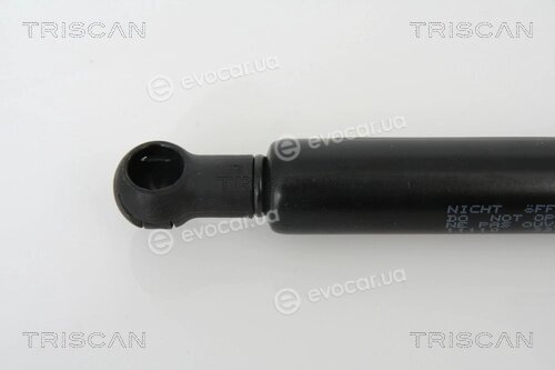 Triscan 8710 11110