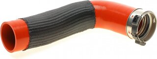 Solgy 114225