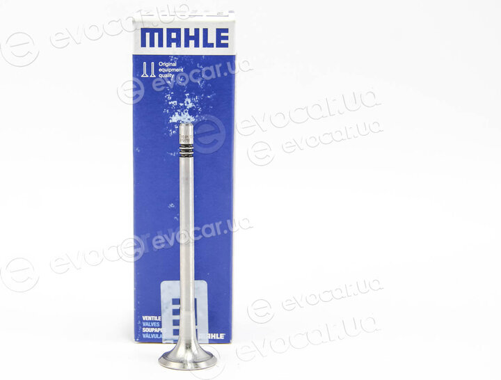 Mahle 029 VA 31971 000