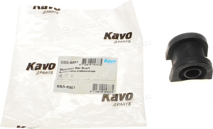 Kavo SBS-8001