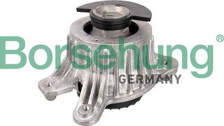 Borsehung B12646